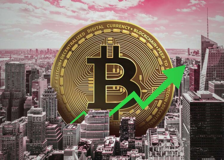 Double or Nothing: Top Analyst Benjamin Cowen Expects Bitcoin to Double in Price