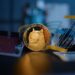 Dogecoin’s Journey to All-Time Highs: A Millionaire-Maker in the Making?