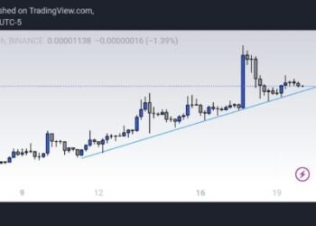 SHIB to Skyrocket by 550% as Burning Rate Explodes and Shibarium Launch Inches Closer
