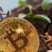 BTC Miners Break Records With $184M