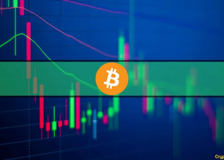 Bitcoin Fights For $30K While Altcoins Bleed Out (Market Watch)