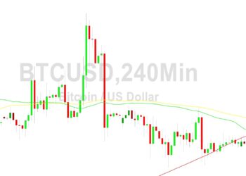 Bitcoin Price Analysis: Bears Eyeing 29477 Pain
