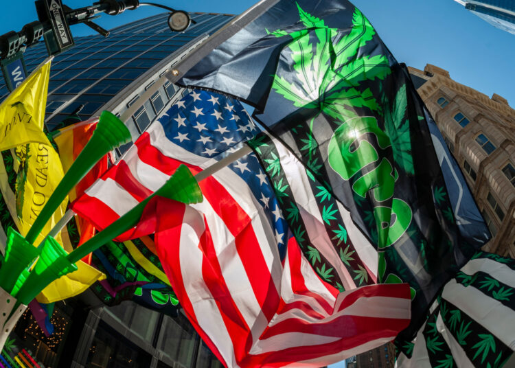 Cannabis and NFT? Live minting hosted at NYC Dispensary