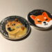 Meme Coins Reasons for Growth in 2023 Unveiled