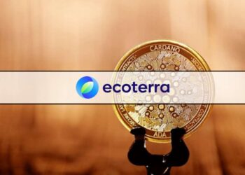 Cardano and Polygon Prices Continue to Grow Despite Revolut Delisting, With Ecoterra Also Rising