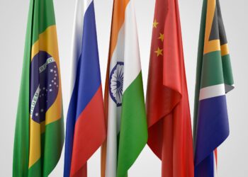 BRICS Summit to Show Whether Bitcoin or Bric Would Replace USD