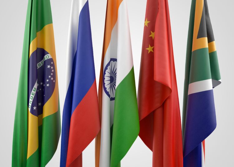 BRICS Summit to Show Whether Bitcoin or Bric Would Replace USD