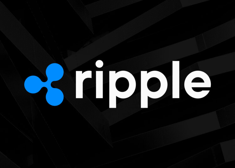 Ripple CEO Claims SEC Case May Take Years To Appeal…