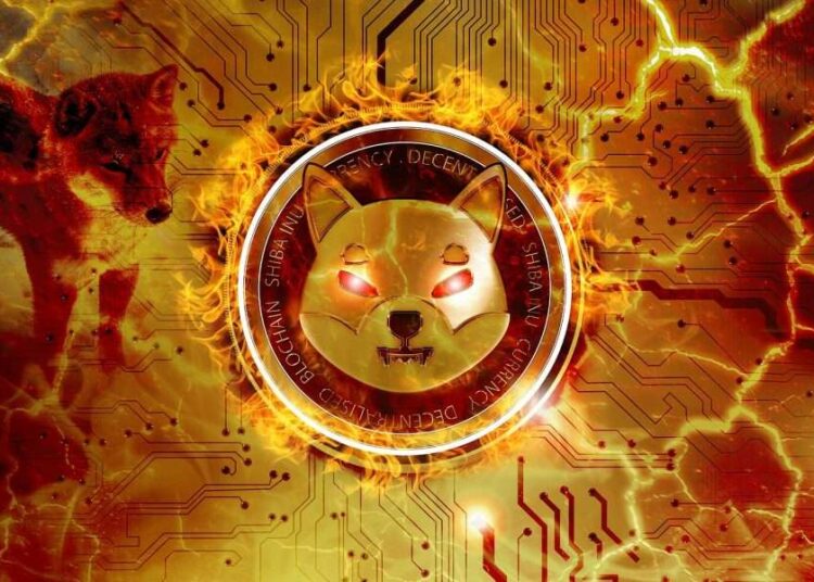 Shiba Inu (SHIB) Poised to Enter Top 5 Cryptocurrencies