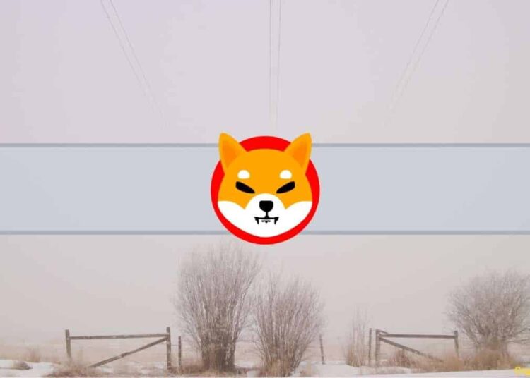 Shibarium Beta Bridge Goes Live for Public Testing as Layer-2 Launch Inches Closer