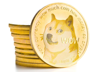 Dogecoin Investor Turns $230 into Six Figures