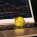 Binance Deactivating Token Trading, DigiToads Utility Functions Give This Meme Coin A Major Liquidity Boost