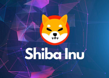 Shiba Inu and This New Coin Set to Explode in the Coming Weeks