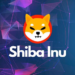 Shiba Inu and This New Coin Set to Explode in the Coming Weeks