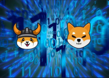 Shiba Inu, Anarchy (ANA), and Floki Inu. Why Anarchy is Investors’ Top Choice