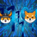 Shiba Inu, Anarchy (ANA), and Floki Inu. Why Anarchy is Investors’ Top Choice