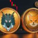 Shiba Inu Loses Momentum as Anarchy Prepares for 200X Price Gains