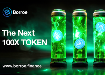 Cardano (ADA) volume stagnation spells opportunity for Borroe (ROE) presale and its 100x potential