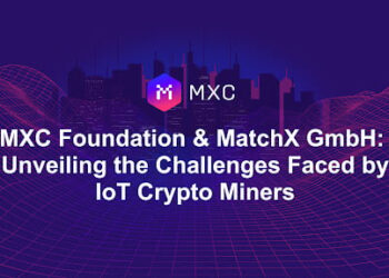 Unveiling the Challenges Faced by IoT Crypto Miners