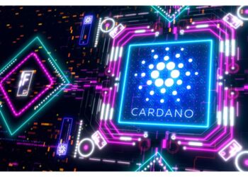 Cardano’s Roller Coaster Ride: From Ethereum Killer to Crypto Divisiveness