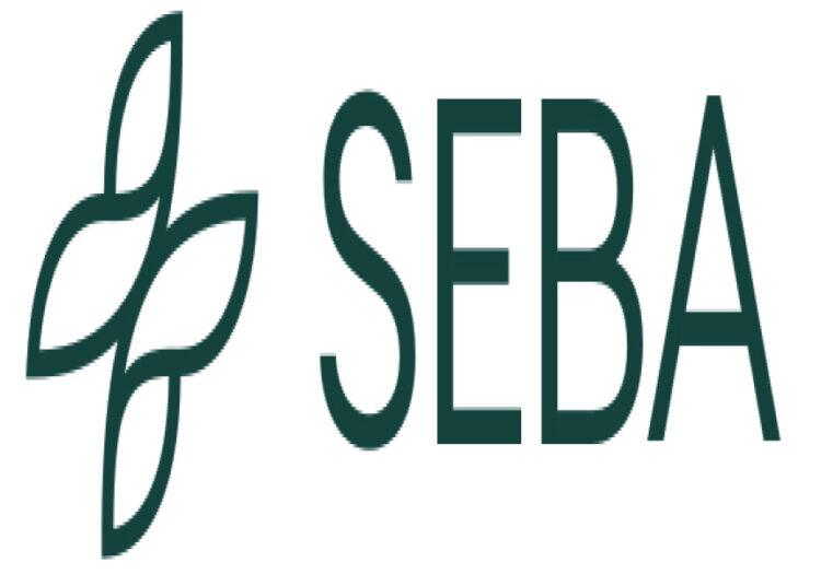 SEBA Hong Kong Receives In-Principle Approval from SFC