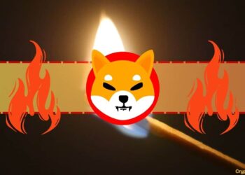 Shibarium Developers Clarify SHIB Token Burn Mechanism Amidst Influencer Promises
