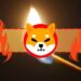 Shibarium Developers Clarify SHIB Token Burn Mechanism Amidst Influencer Promises