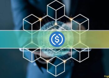 USDC to Launch on These 6 Blockchains Within 2 Months: Report