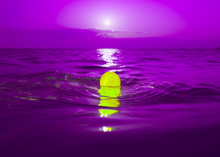 Trader Issues Urgent Warning on Controversial Altcoin, Updates Outlook on Bitcoin Amid Crypto Market Rout