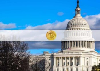 How Do 2024 Presidential Candidates Look at Crypto?