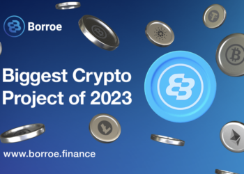 Amid Market Uncertainty, Borroe ($ROE), Chainlink (LINK) and Card…