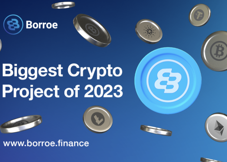 Amid Market Uncertainty, Borroe ($ROE), Chainlink (LINK) and Card…