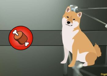 Here’s How Much BONE is Currently Staked According to Shiba Inu Official
