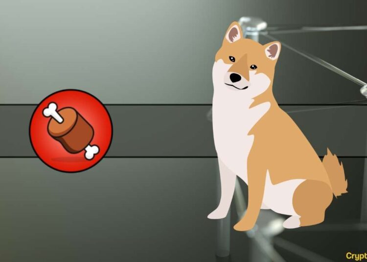 Here’s How Much BONE is Currently Staked According to Shiba Inu Official