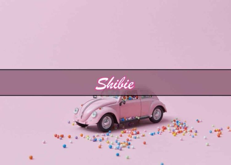 Shiba Inu Meets Barbie as Shibie Token Launches Limited-Time Presale; the Next Big Meme Coin?