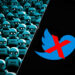 Social media bots suspected in possible FTX crypto price manipulation, reveals report