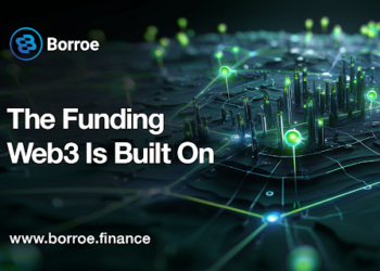While Shiba Inu Faces 23% Drop, Interest in Borroe Presale Investment Soars