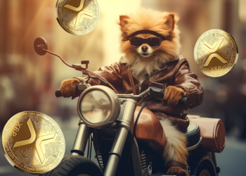 Uncovering the New Altcoin That’s Stealing the Spotlight