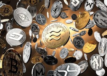 Top 7 Crypto Presales VCs Are Closely Watching QUBE, BORROE, Uwerx, Tradecurve, Mooky, Bitcoin Spark, and AiDoge