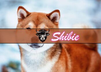 Will Shiba Inu’s Price Pump After Shibarium? Wall Street Memes Also Bullish