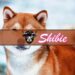 Will Shiba Inu’s Price Pump After Shibarium? Wall Street Memes Also Bullish