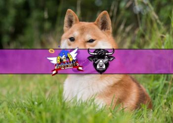 Will the Shiba Inu Price Recover After Tanking Over 20%? Wall Street Memes Emerges as Alternative with $26 Million Raised