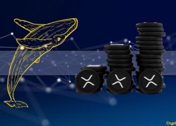 Is XRP Staging a Recovery? Largest Whales Continue Accumulating in Prepartion of Ripple Bull Run