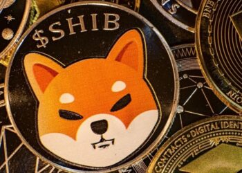 Shiba Inu’s Shibarium Hits 600k Wallets and 700k Transactions
