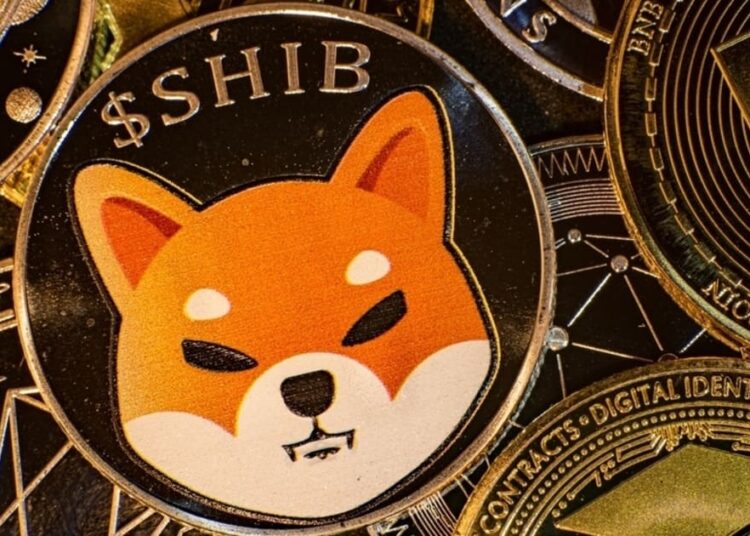 Shiba Inu’s Shibarium Hits 600k Wallets and 700k Transactions
