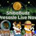 Dogecoin (DOGE), Shiba Inu (SHIB) and Shiba Budz (BUDZ), Who’s Set For Greatness