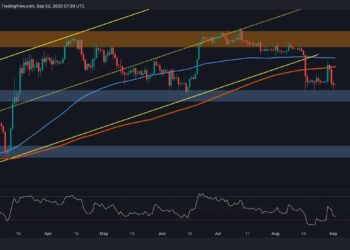 BTC’s In Danger, This is The Most Critical Level Now (Bitcoin Price Analysis)