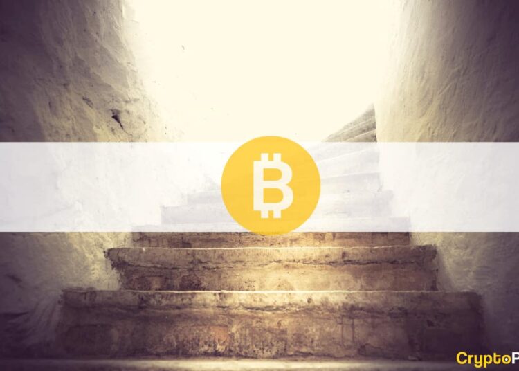 Bitcoin Investor Who Mistakenly Threw Away 8,000 BTC Plans to Sue Local Council