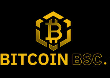 Bitcoin BSC Crypto ICO Reaches 50% Of Soft Cap After Raising Almost $2 Millions in 10 Days