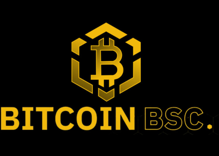 Bitcoin BSC Crypto ICO Reaches 50% Of Soft Cap After Raising Almost $2 Millions in 10 Days